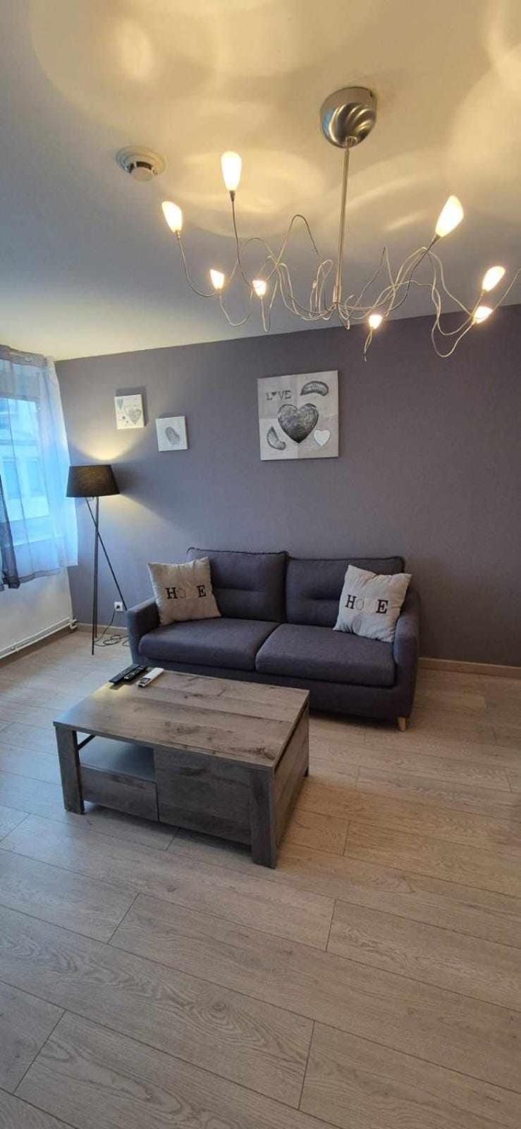 Nouveau !! Appartement Confortable Totalement Renove Avec Parking Gratuit - Hypercentre De Νανσύ Εξωτερικό φωτογραφία